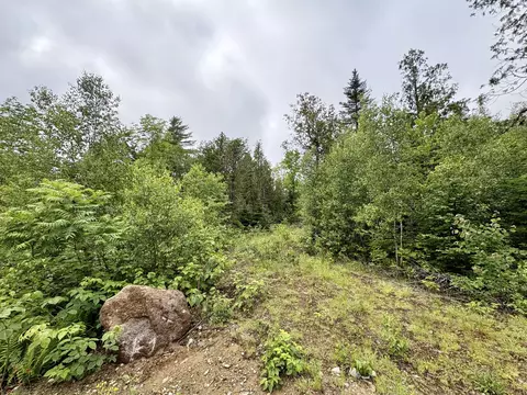 lot2 Mt Jefferson Hts, Lee, ME 04455