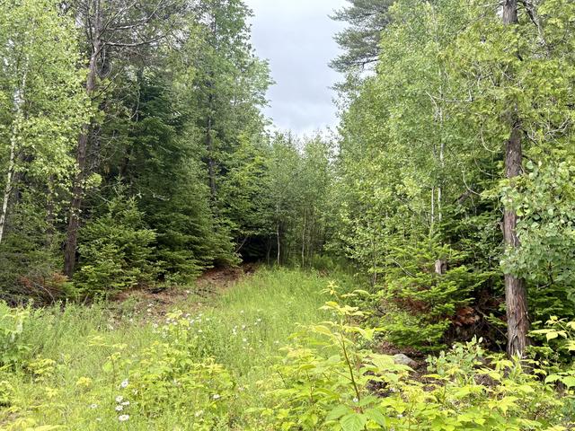 lot3 Mt Jefferson Hts, Lee, ME 04455