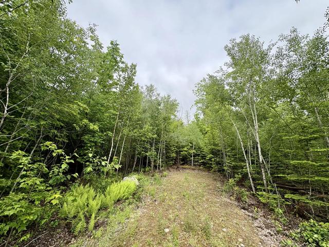 lot4 Mt Jefferson Hts, Lee, ME 04455