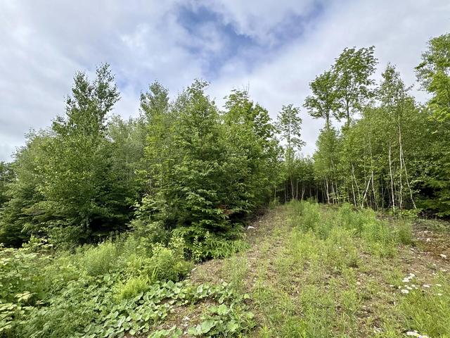 lot5 Mt Jefferson Hts, Lee, ME 04455