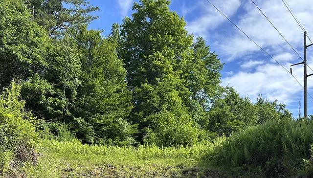 lot020 Canton Mountain Rd, Jay, ME 04239