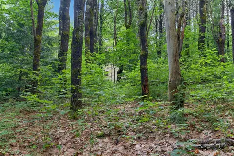 31 Brand Rd, Windham, ME 04062 photo 17