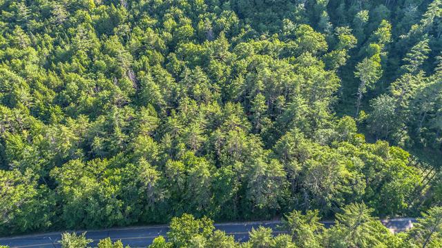 276 River Rd, Naples, ME 04055
