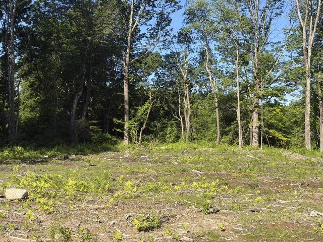 lot Apt 2 High Point Rd, Falmouth, ME 04105
