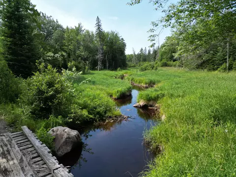 lot2 Main Rd, Carroll Plt, ME 04487