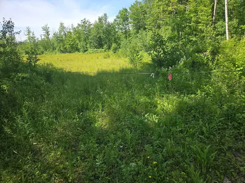 579 Maple Ridge Rd, Harrison, ME 04040 photo 2