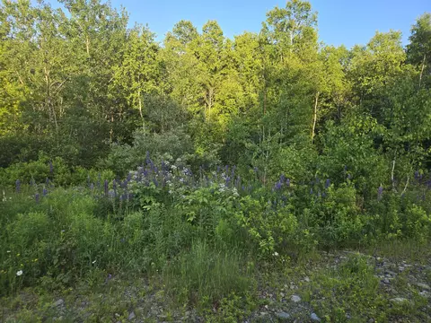 27 B61724 Dixie Rd, Lubec, ME 04652 photo 7