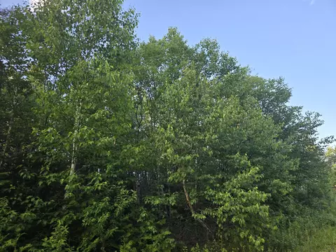 27 B61724 Dixie Rd, Lubec, ME 04652 photo 8