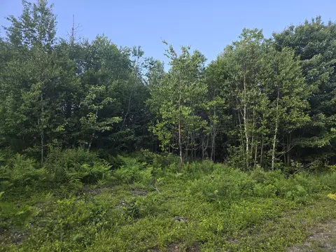 27 B61724 Dixie Rd, Lubec, ME 04652 photo 3