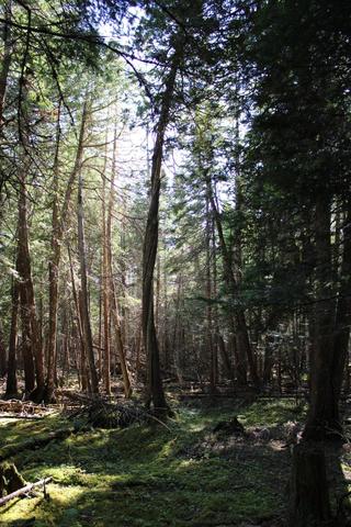 0 Mariaville Rd, Mariaville, ME 04605