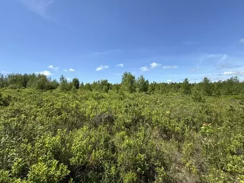 Map10lotp 214, Meddybemps, ME 04657