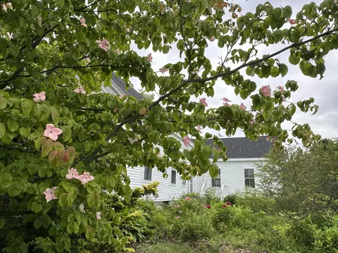 Exterior - 441 Main St, Thomaston, ME 04861 photo 13 of 41