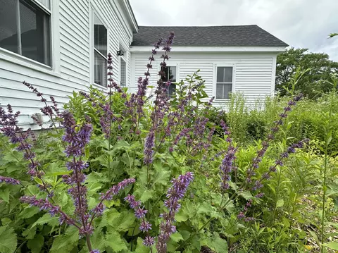 Exterior - 441 Main St, Thomaston, ME 04861 photo 18 of 41