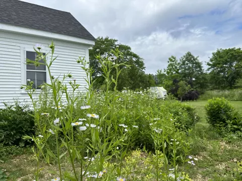 Exterior - 441 Main St, Thomaston, ME 04861 photo 17 of 41