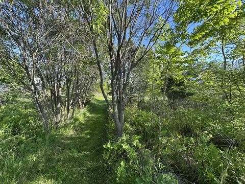 Other - 441 Main St, Thomaston, ME 04861 photo 13 of 18