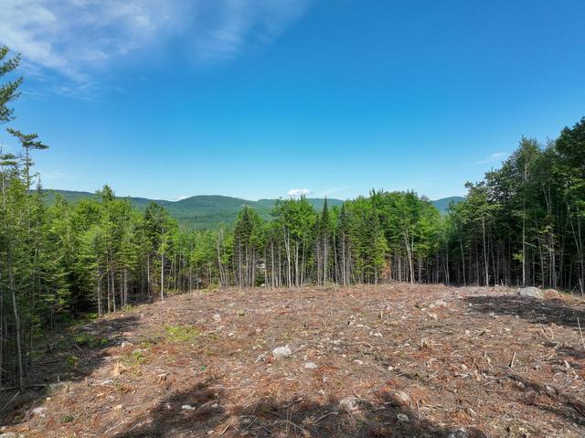 0 Old Country Trl, Dixfield, ME 04224