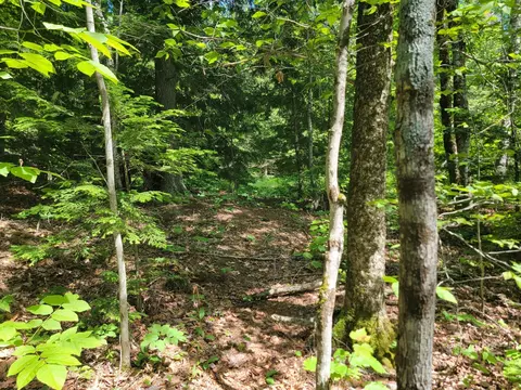 477 Hadley Mill Rd, Jackson, ME 04921 photo 5