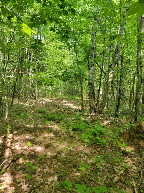 477 Hadley Mill Rd, Jackson, ME 04921 photo 23