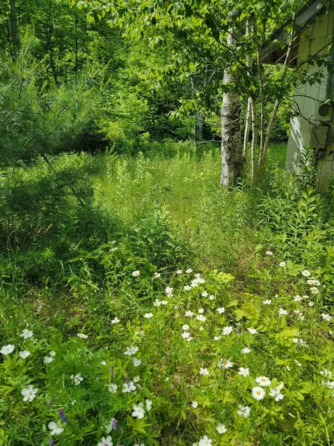 477 Hadley Mill Rd, Jackson, ME 04921 photo 25