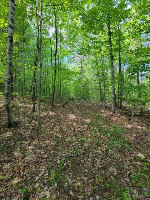 477 Hadley Mill Rd, Jackson, ME 04921 photo 20