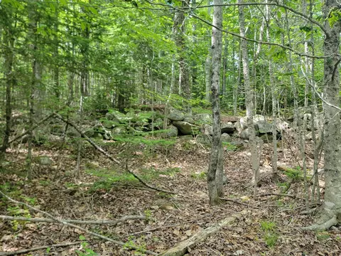 477 Hadley Mill Rd, Jackson, ME 04921 photo 19