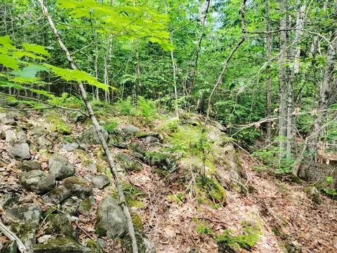 477 Hadley Mill Rd, Jackson, ME 04921 photo 15