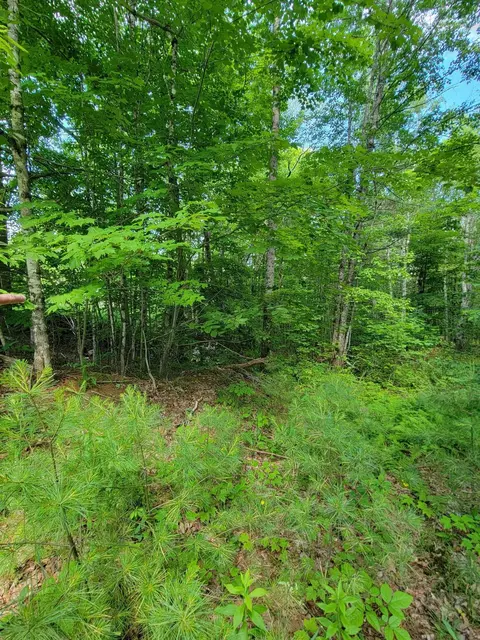 477 Hadley Mill Rd, Jackson, ME 04921 photo 31