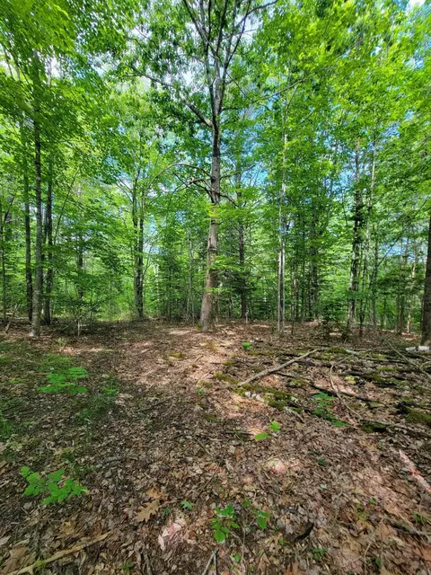 477 Hadley Mill Rd, Jackson, ME 04921 photo 21