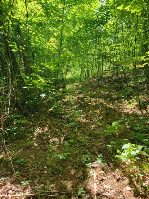477 Hadley Mill Rd, Jackson, ME 04921 photo 24