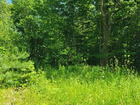 477 Hadley Mill Rd, Jackson, ME 04921 photo 32
