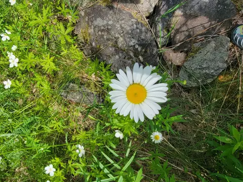 477 Hadley Mill Rd, Jackson, ME 04921 photo 30