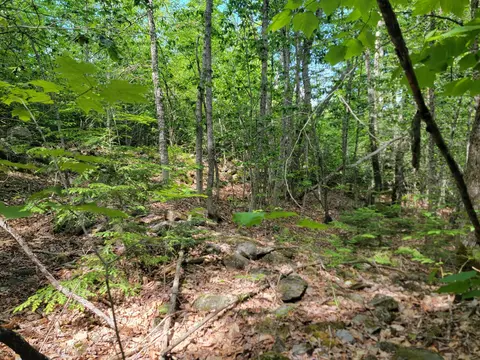 477 Hadley Mill Rd, Jackson, ME 04921 photo 17