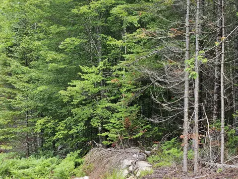 2 Ledge Road, Embden, ME 04958 photo 7
