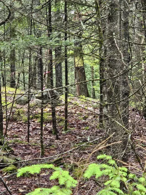 2 Ledge Road, Embden, ME 04958 photo 9