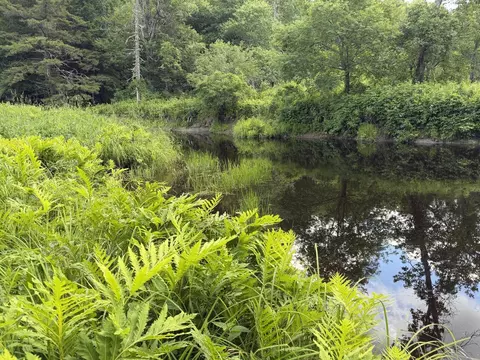 lot16 6 Norridgewock Rd, Fairfield, ME 04937