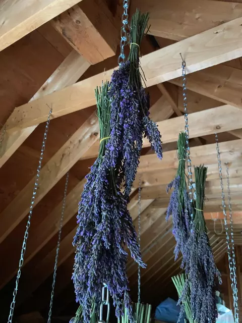 Other - 32 Old Fairgrounds Rd, Readfield, ME 04355 photo 4 of 23