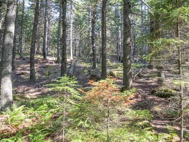 10 Island Retreat Rd, Swans Island, ME 04685