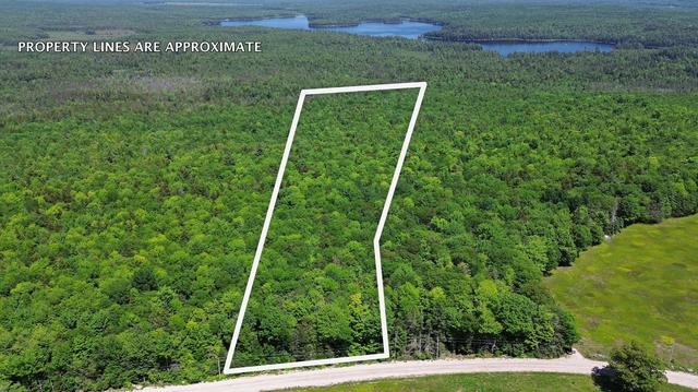 lot2 Martins Ridge Rd, Franklin, ME 04634