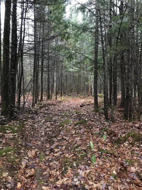 49-51 Pleasant St, Norway, ME 04268
