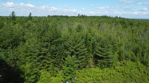 030-007 Cardville Rd, Greenbush, ME 04418