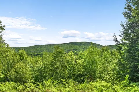 4 Youngs Rd, Canton, ME 04221 photo 9