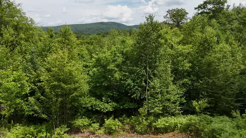 4 Youngs Rd, Canton, ME 04221
