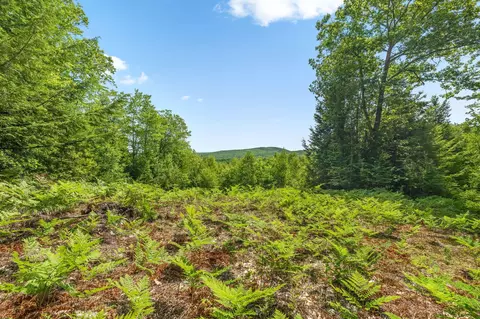 4 Youngs Rd, Canton, ME 04221 photo 8