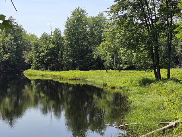 00 Brown Rd, Searsmont, ME 04973