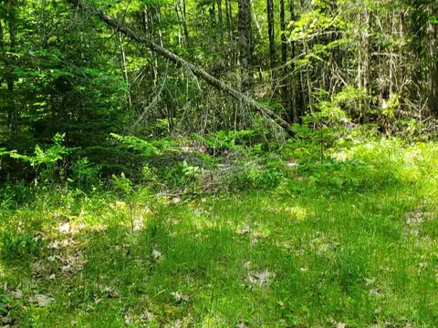 00 Morgan Rd, Burnham, ME 04922 photo 16