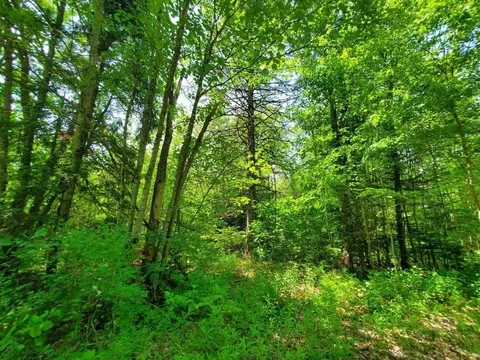 00 Morgan Rd, Burnham, ME 04922 photo 54