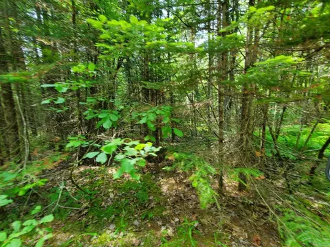 00 Morgan Rd, Burnham, ME 04922 photo 44