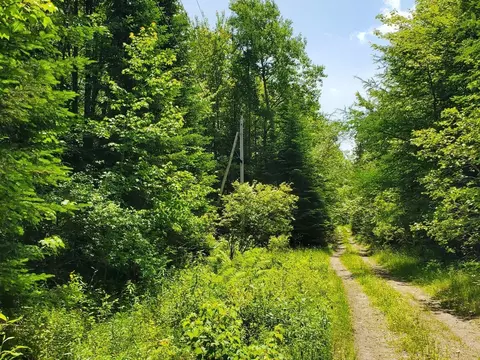 00 Morgan Rd, Burnham, ME 04922 photo 7