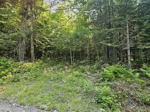 lot2 A Rips Rd, Brownville, ME 04414