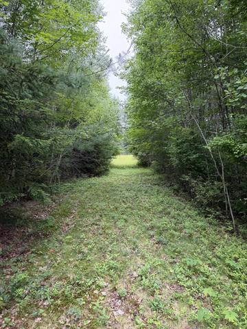 0 Ellsworth Rd, Blue Hill, ME 04614